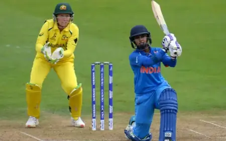 Willow and Leather: A Cricketing Journey