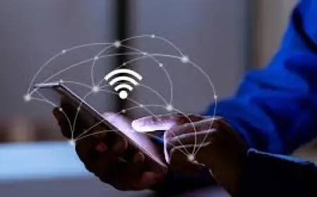 Wireless Network Solutions: A Complete Guide for Modern Businesses