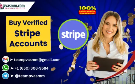 Where to Buy Verified Stripe Accounts (LLC + LTD Verified) Online