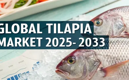 Tilapia Market Growth, Trends, Industry Share, Key Players and Forecast 2025-2033