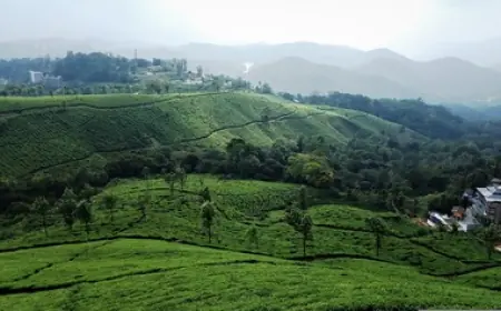 16 Days South India with Kerala Backwaters Exploration