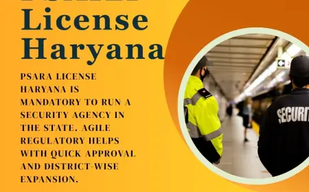 Business Resilience in Haryana's Service Sector: Building a Foundation of Compliance and Professionalism