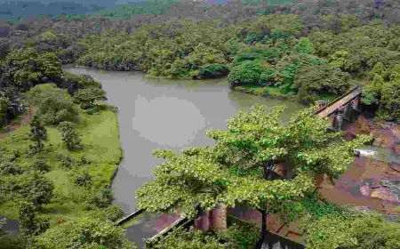 11 Days South India Tour: Explore Culture, Temples & Nature