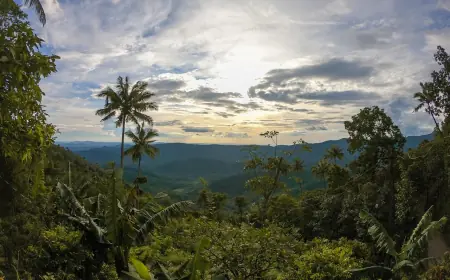 12 Days Kerala Heritage Tour: Temples, Culture & Backwaters