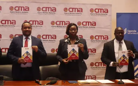 1st Half 2025: Capital market registers significant growth as USE & CMA launches handbook.