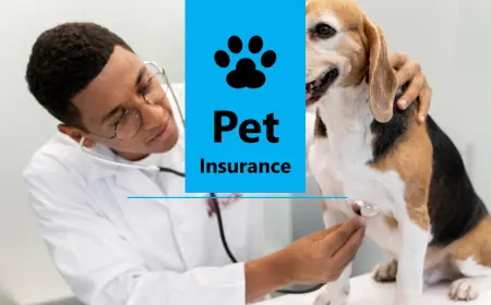 Pet Health Made Easy: Fargo’s Local Choice for Pet Insurance