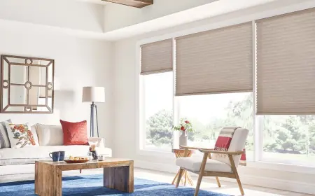 The Ultimate Guide to Choosing the Best Blinds in Austin