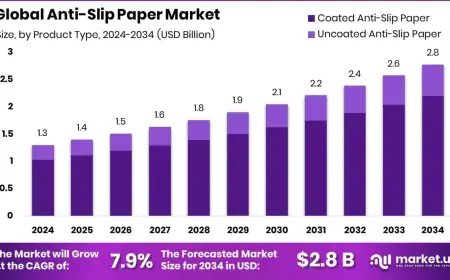 Anti-Slip Paper Market Competitive Landscape and Strategies