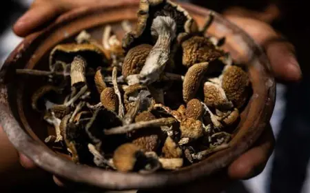 Oregon’s Psilocybin Services Act: Opportunities for Aspiring Facilitators
