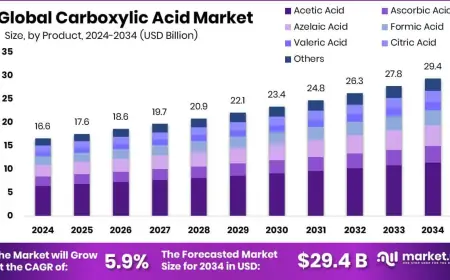 Carboxylic Acid Market Segmentation Analysis