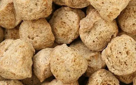 Detailed Report on Soya Chunks Manufacturing Plant Setup Cost 2025: Layout and Raw Material Requirements