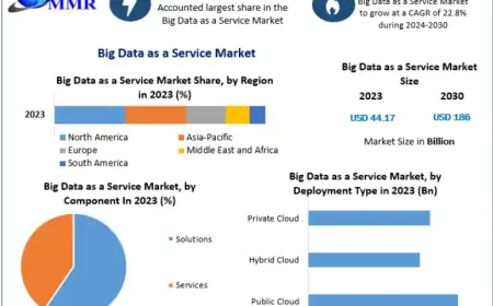 Big Data as a Service Market Trends to Watch: From Data Lakes to Serverless Analytics 2030