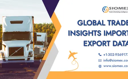 Why import Export Data is Crucial for new Traders