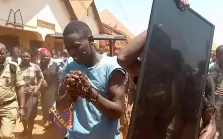 He Returned the TV He Had Stolen Because It Was Watching Him