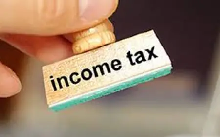 Online Business Income Tax Return Filing | E-Startup Business