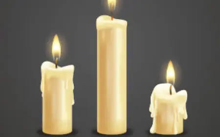 South Korea Candle Market Share, Size, Growth & Forecast 2025-2033
