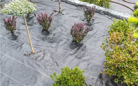 The Essential Role of Weed Barrier Fabric in Modern Landscaping