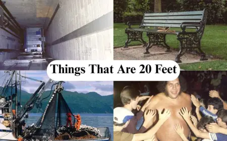 How Long Is 20 Feet? Things That Are 20 Feet