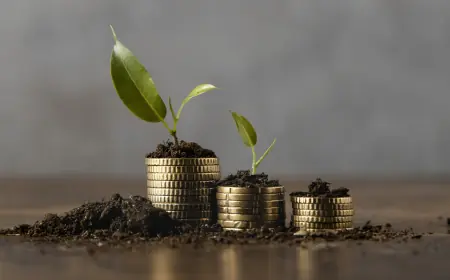 What Are The Different Calculators in The Best Mutual Fund Software in India?