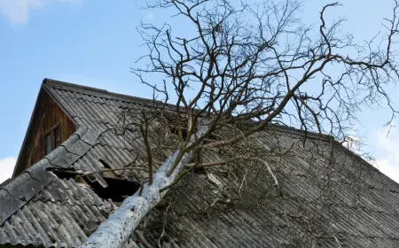 Does a Storm Cause Enough Damage to Call for Professional Help?