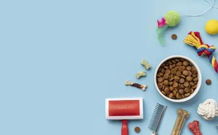 Livingstone Pet Grooming Supplies – Care Tools for Every Breed