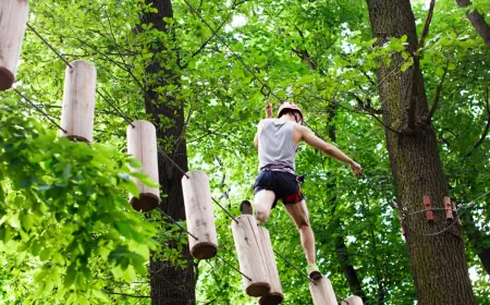 Nature, Fun, and Team Spirit at These Thrilling Resorts