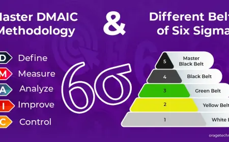 Six Sigma: A Detailed Roadmap to Success in 2025