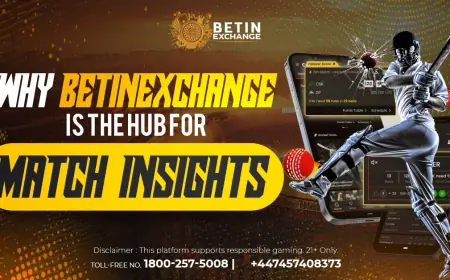Betinexch – Explore Sports & Entertainment at Betinexchange360