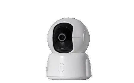 Can Ring Cameras Function Without Wi-Fi? Complete Guide