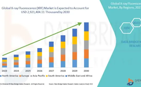 Non-Destructive Testing and Advanced Analytics Propel Global X-ray Fluorescence (XRF) Market