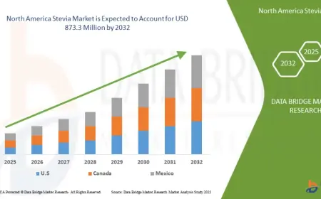 Natural Sweetener Trends Boost North America Stevia Market Growth