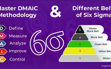 Mastering DMAIC and Six Sigma Belts for Process Excellence