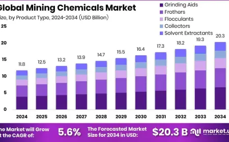 Mining Chemicals Market Competitive Landscape