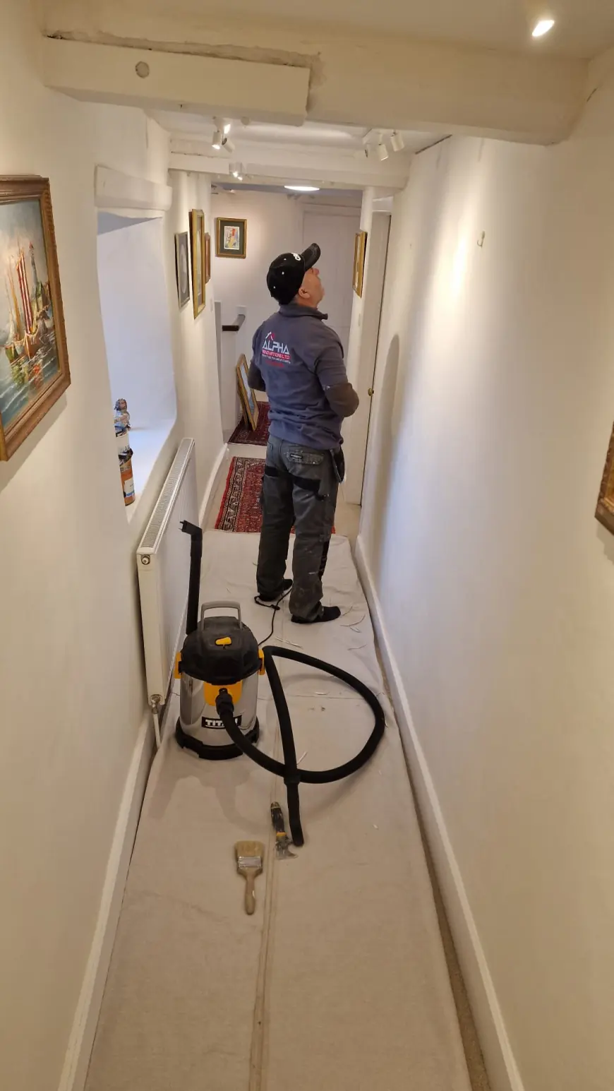 Refresh Your Home with Professional House Painting Service Cheltenham – Alpha Renovations Limited