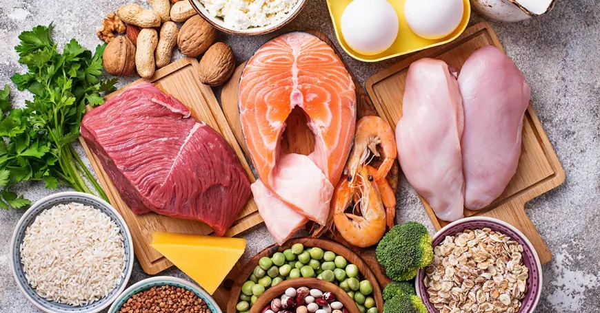 Top Protein Foods to Boost Your Daily Nutrition