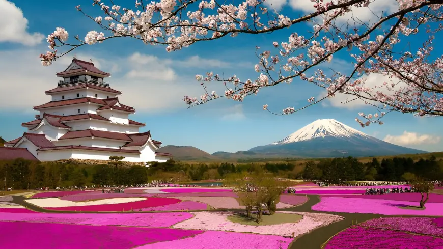 Hidden Gems in Japan: Off-the-Beaten-Path Destinations