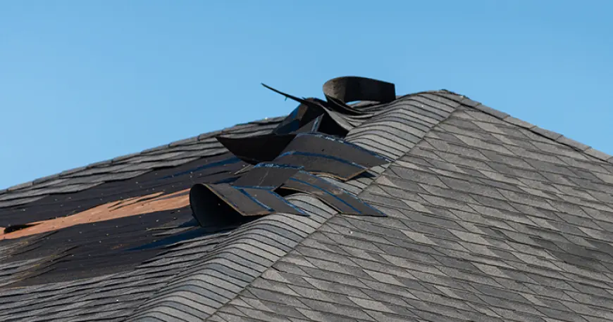 Know Your Rights: Wind Damage Claims in Agoura Hills Explained