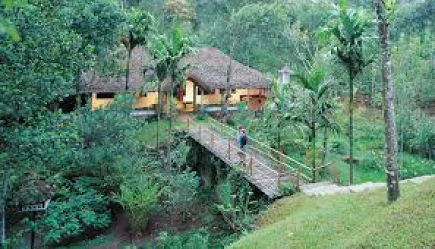 Nature Stay Near Bangalore: Where Silence Feels Like a Gift
