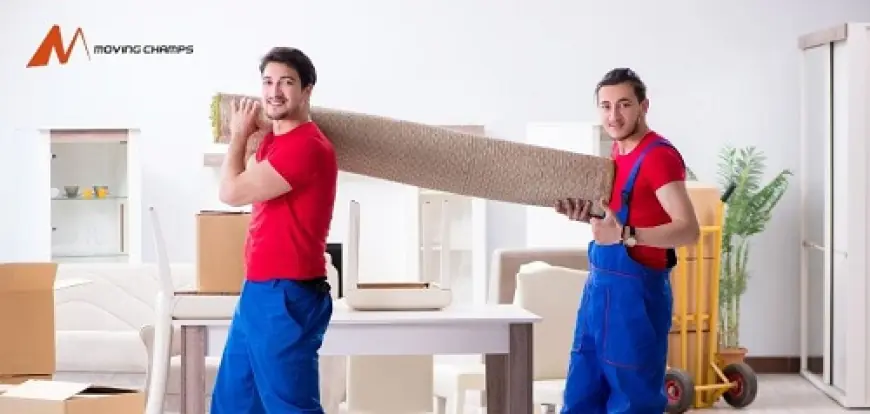 Discover Why Moving Champs Are the Go-To Movers Adelaide Trusts