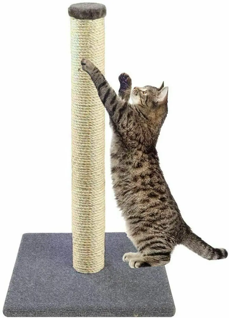 Cat Scratching Mat – The Ultimate Indoor Solution for U.S. Cat Owners