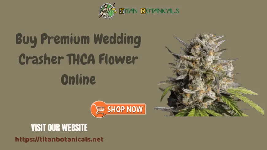 Buy Premium Wedding Crasher THCA Flower Online