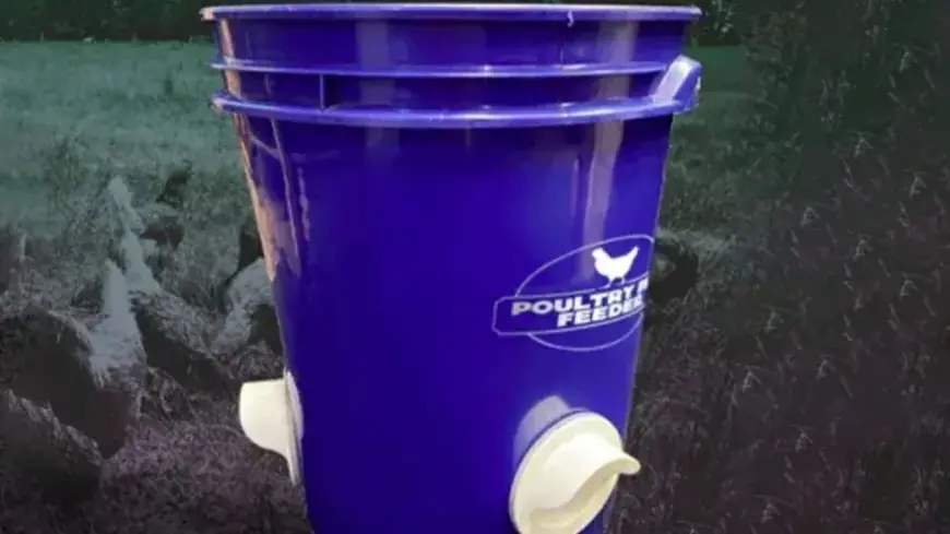 Best Chicken Feeder- So, What Truly Defines a Top Feeder for Your Flock?