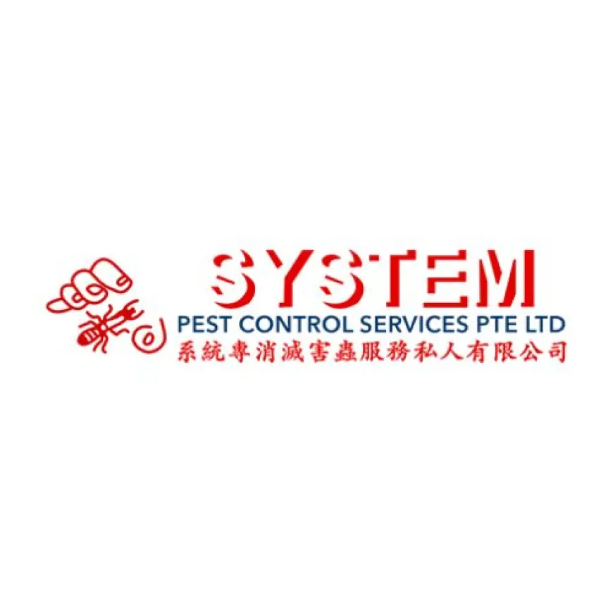 Pest Control Company? Singapore Termite Control Services