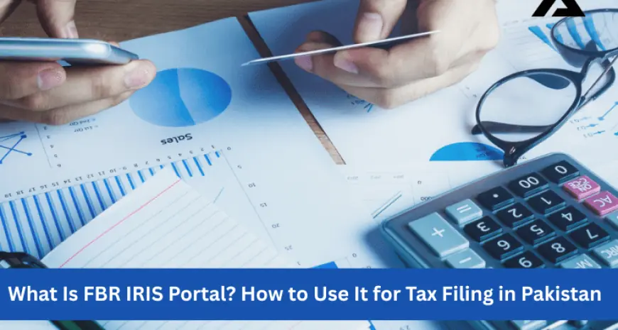 Filing Taxes in Pakistan: How the FBR IRIS Portal Makes It Easy