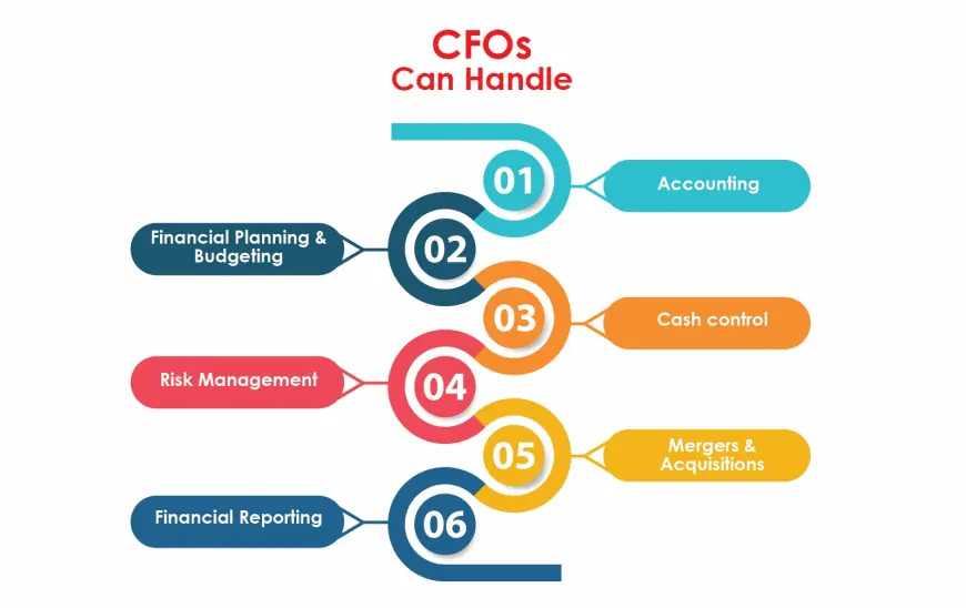 How Do Virtual CFO Services Help Small Businesses Save Costs and Grow?