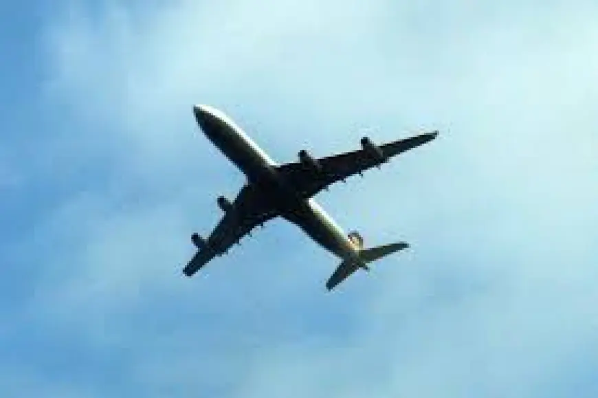 Arrange mobility aid using American Airlines Phone Number Ontario