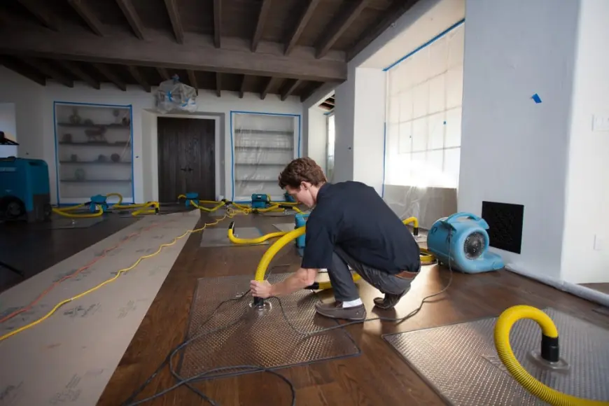 Expert Help for Mold: Restoring Safe Indoor Spaces