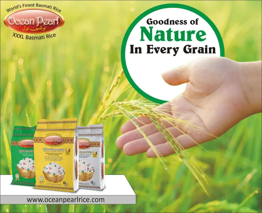 The Top Basmati Rice In World for Its Rich Flavour And Aroma