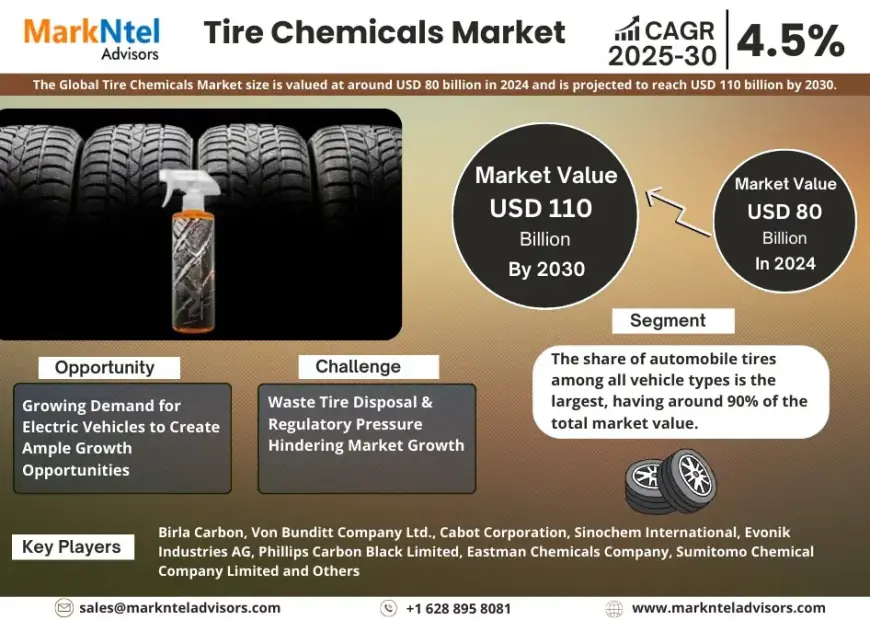 Tire Chemicals Market Research 2025–2030: Growth, Size & Opportunities