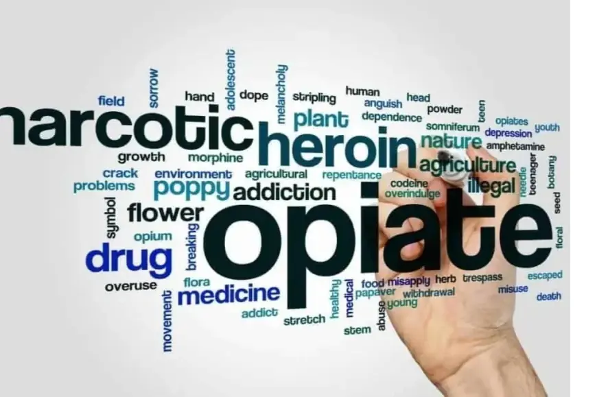 Opioid Agonist Therapy Ontario: Guidelines to deal with the situation.